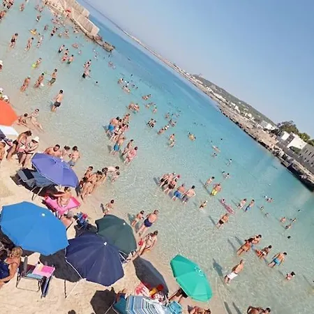 Casa Perla 아파트